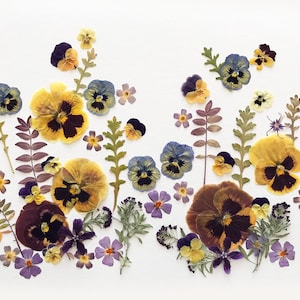 Pressed Pansies & Wildflowers – Food-Safe Flowers - Natural Dried Botanical Mix for Crafts and Decoration -DIY04