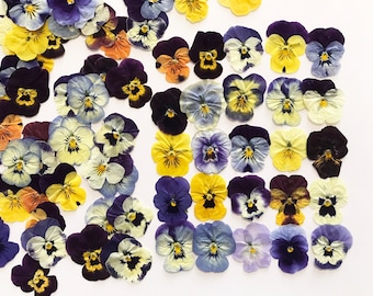25/50/100 Pcs Pressed Mixed Pansies Approx. 1" -  Edible Flowers - Cocktail, Cake Decoration, Resin, Jewelry or Craft - DF021S