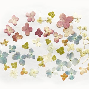 50 Pcs Pressed Mixed Hydrangea Flowers - Mixed Colors and Size - DIY Material for your Creatives-DF0012