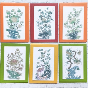 Jeu de 6 cartes de vœux botaniques avec enveloppe assortie - Jeu de cartes de papeterie - Jeu de cartes de notes - SC017