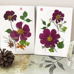 Pressed Flower decor - Ready to Frame, Pressed Flower Wall Arts - Unique Gift - DS 005