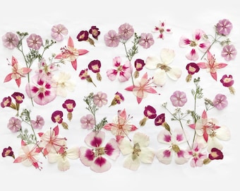 Pode incluir: Uma coleção de flores prensadas em tons de rosa, magenta e branco. O arranjo inclui várias flores com pétalas delicadas, algumas com centros escuros, juntamente com caules verdes finos e pequenas folhas espalhadas por todo o quadro.