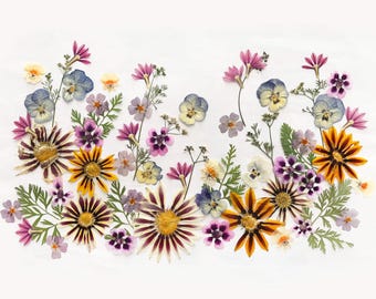 May include: A collection of pressed flowers in various colors, including yellow, purple, pink, and blue, arranged on a white background. The arrangement features different flower types and green foliage, creating a natural and artistic display.