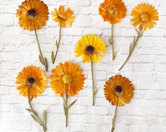 8 Pcs Pressed Calendula Officinalis Flowers - Edible Flowers for Cake Decorations, Crafts - DF 045-9