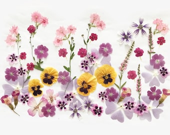 Edible Pressed Flowers and Leaves Mix, Organic Garden Grown, Cake Decorating Crafts, DF47-5