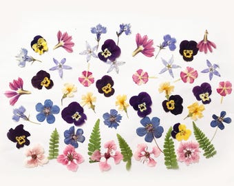 Oltre 50 fiori e foglie pressati commestibili misti, fiori adatti agli alimenti, decorazioni per torte, creazioni in resina, compleanni, baby shower, eventi speciali -DF45-2