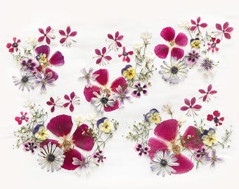 May include: An overhead shot showcases an arrangement of pressed flowers in various colors. The composition includes vibrant magenta, white, purple, and yellow blooms, artfully arranged on a white background. The flowers vary in size and shape, creating a delicate and natural aesthetic.