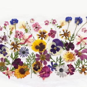 Reservado para Olivia - Pedido personalizado - Más de 500 flores prensadas mixtas - Flores comestibles para decoraciones de pasteles, manualidades, artes florales - DF 000