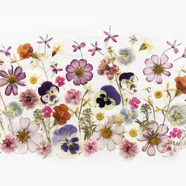 50+ Mixed Pressed Flowers - Edible Flowers for Cake Decorations, Crafts, Flower Arts - DF 049-9