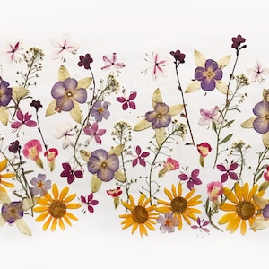 Más de 50 flores prensadas comestibles mixtas, decoración de pasteles y manualidades con resina.