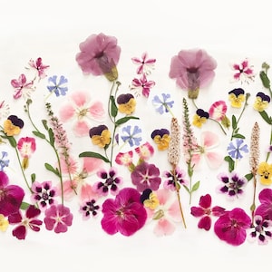 50+ Mixed Edible Pressed Flowers, Food-Safe Cake Decorating, Resin Crafts, Birthdays (DF50-7)