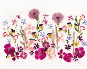 50+ Mixed Edible Pressed Flowers, Food-Safe Cake Decorating, Resin Crafts, Birthdays (DF50-7)