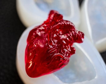 Heart Silicone mold - Anatomical Heart - Jewelry Making Mold