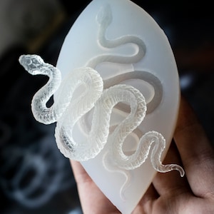 May include: A clear silicone mold shaped like a leaf with a detailed snake design. The mold is perfect for creating resin crafts.