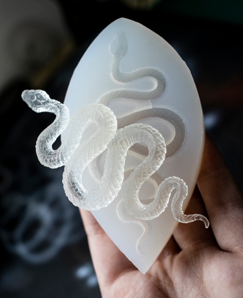 May include: A clear silicone mold shaped like a leaf with a detailed snake design. The mold is perfect for creating resin crafts.