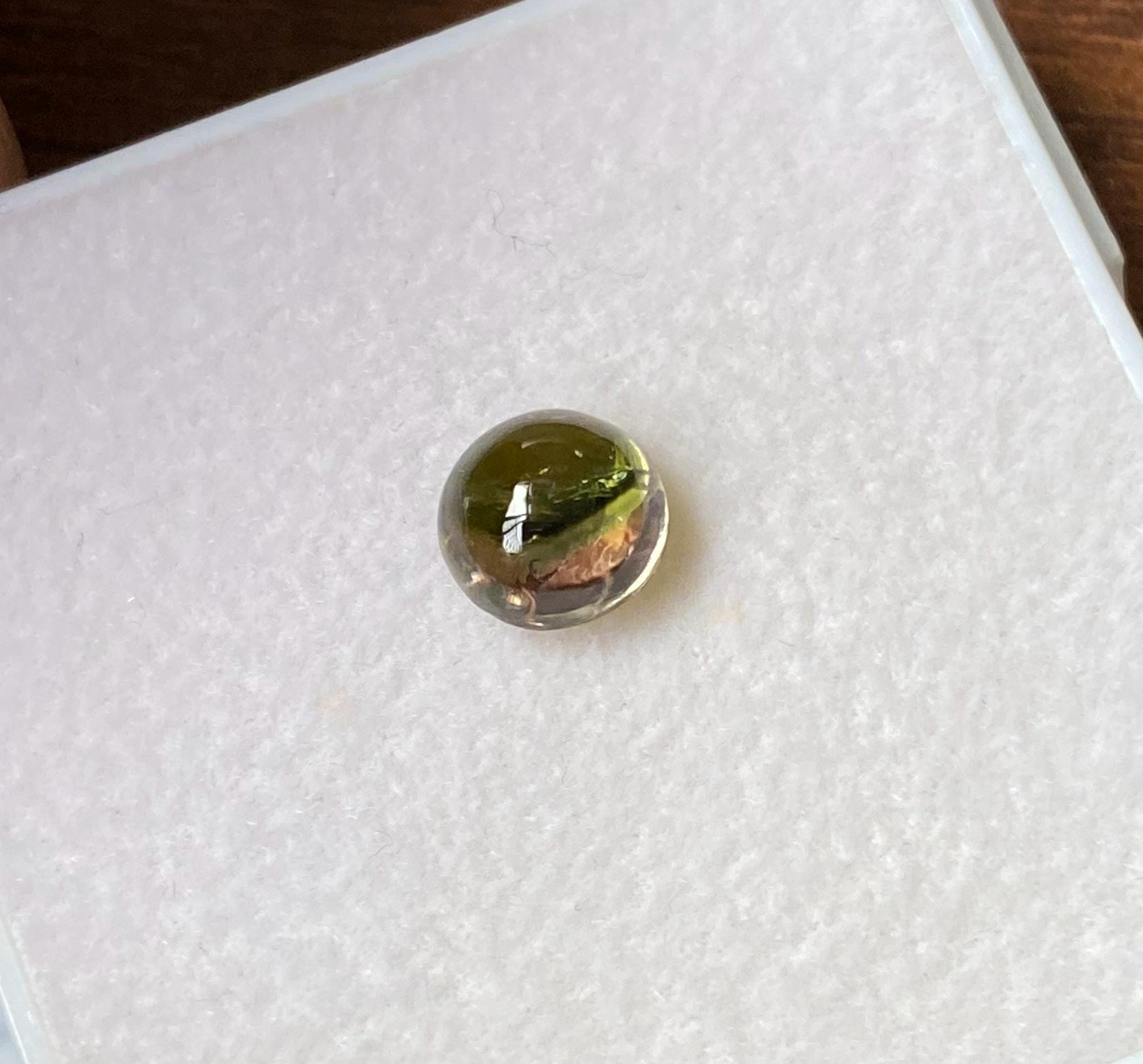 天然バイカラートルマリンカボション 1.44カラット 6.7x6.7 MM