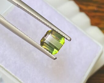 Natural Bi color Tourmaline  Faceted 1.80 Carat 6.5x6.5 MM octagon Shape Gemstone