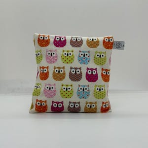 Pillow - Owl Colorful 19x19 (Grape Seed)