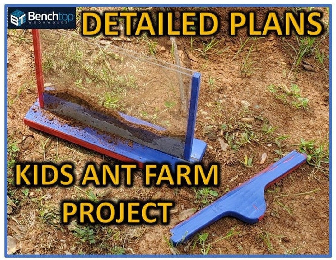 Ant Farm Project Plans - Etsy