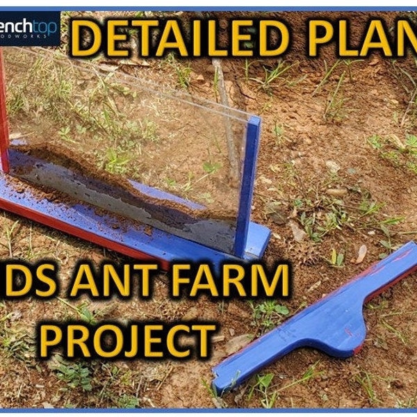 Ant Farm Project Plans