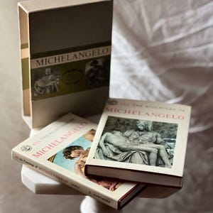 Vintage Michelangelo Book - Etsy