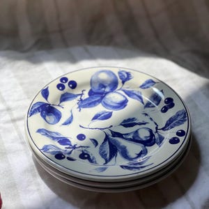 May include: A stack of four white ceramic plates with a blue fruit and leaf design. The plates feature a detailed illustration of pears, plums, and berries. Each plate has a thin blue border.