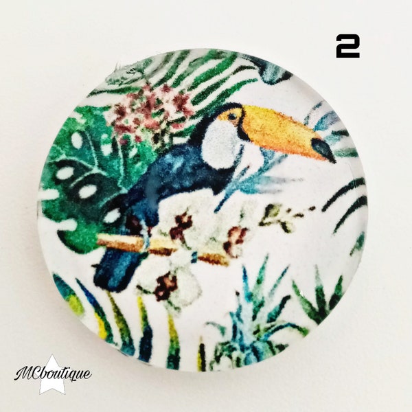 Toucan glass cabochon 30mm 25mm 20mm 16mm 12mm