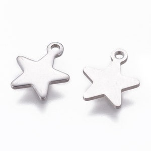 Dijes de 10 estrellas en acero inoxidable dorado o plateado de 10 mm Argent