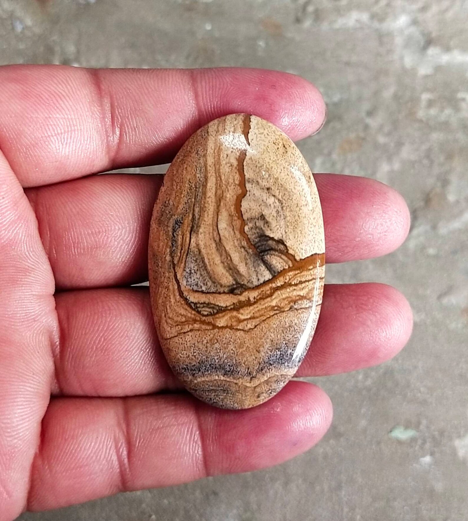 Natural Owyhee Picture Jasper Etsy