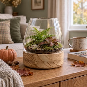 May include: A glass terrarium with a tapered shape sits on a round, light-coloured wooden base. Inside the clear vessel, a green fern and a small plant with reddish-veined leaves are planted in soil, surrounded by green moss and small grey pebbles.