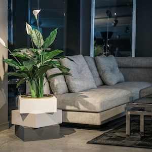 Puede incluir: Un macetero blanco y gris con una planta verde con flores blancas se encuentra delante de un sofá gris con cojines. El sofá está en una sala de estar moderna con una mesa de café de vidrio.
