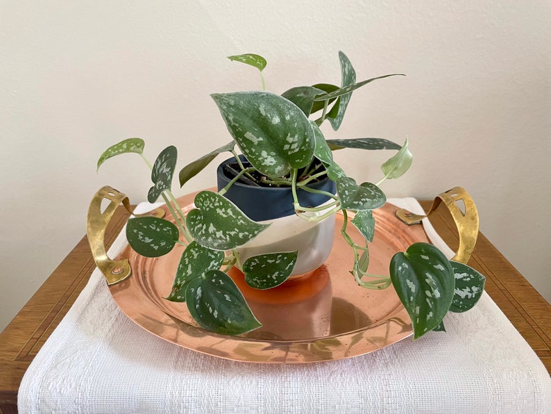 Swedish Vintage Round Copper Tray With Brass Handles Etsy