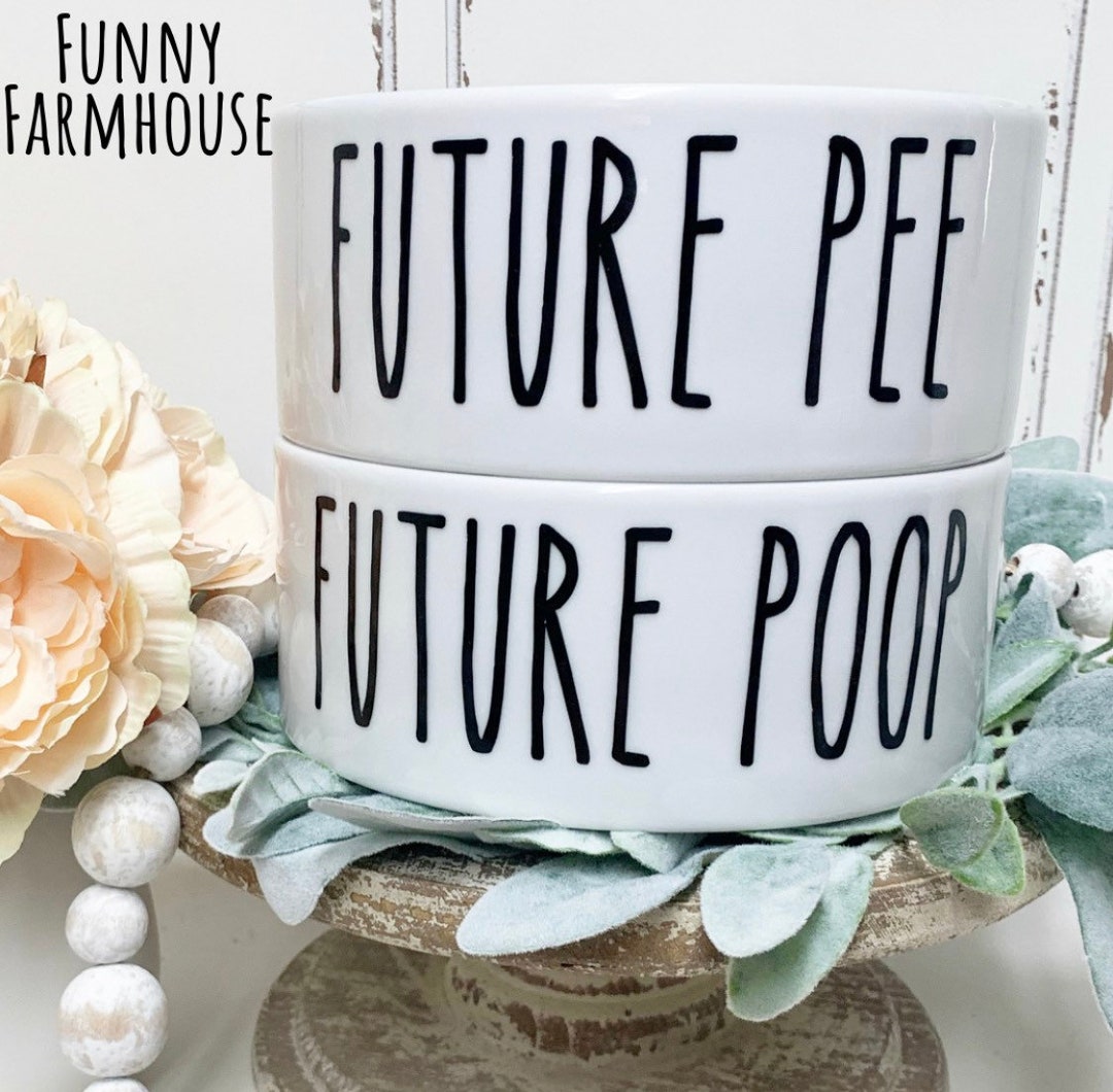 Funny Dog Food Bowl Set Ceramic Pet Bowls Future Pee Future Poop Large