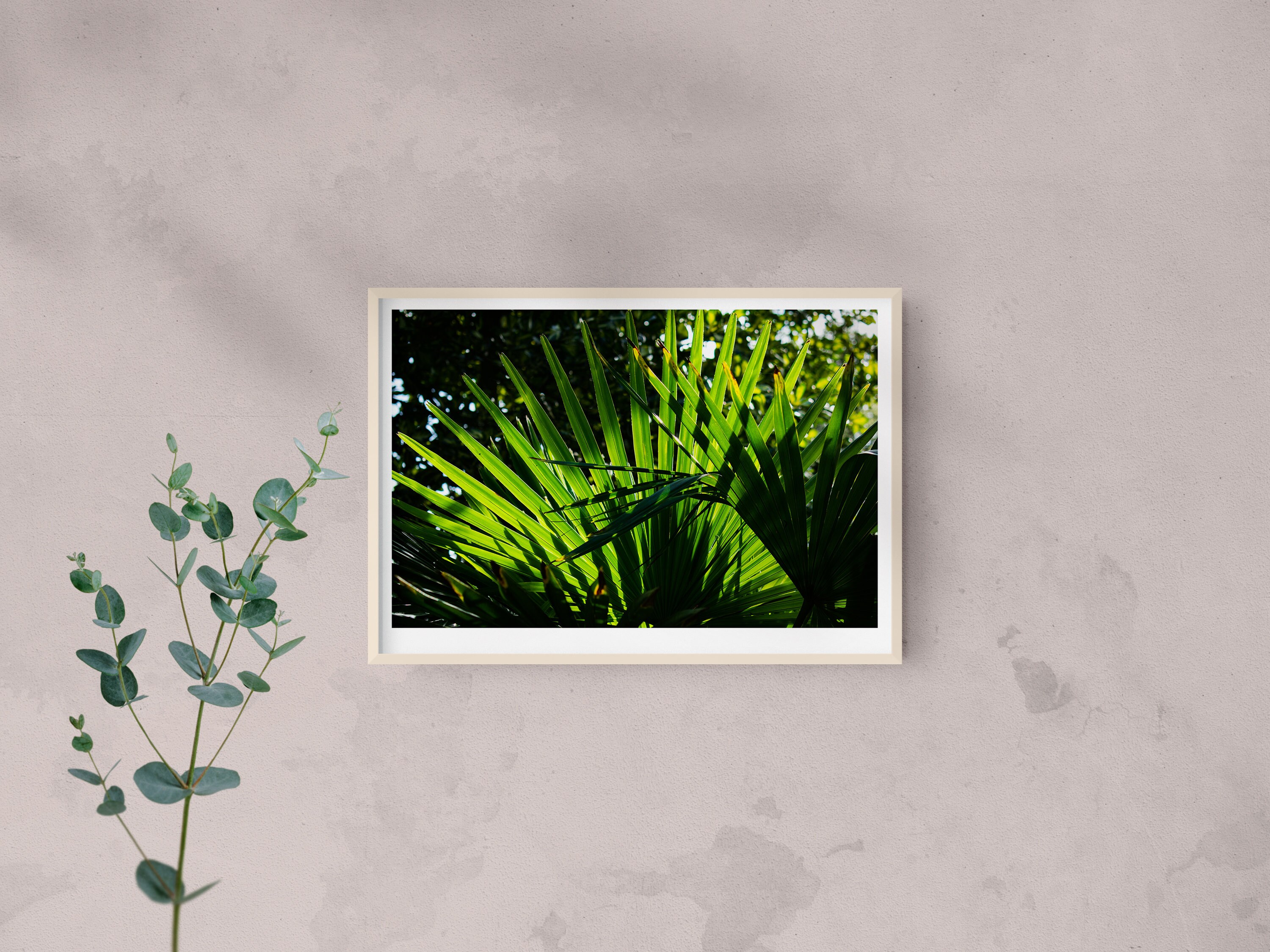 Decoración de la pared de impresión de palmeras Palm Tree | Etsy