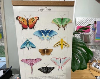 Eeveelution Butterfly Moth Art Print – 11x17 Poster
