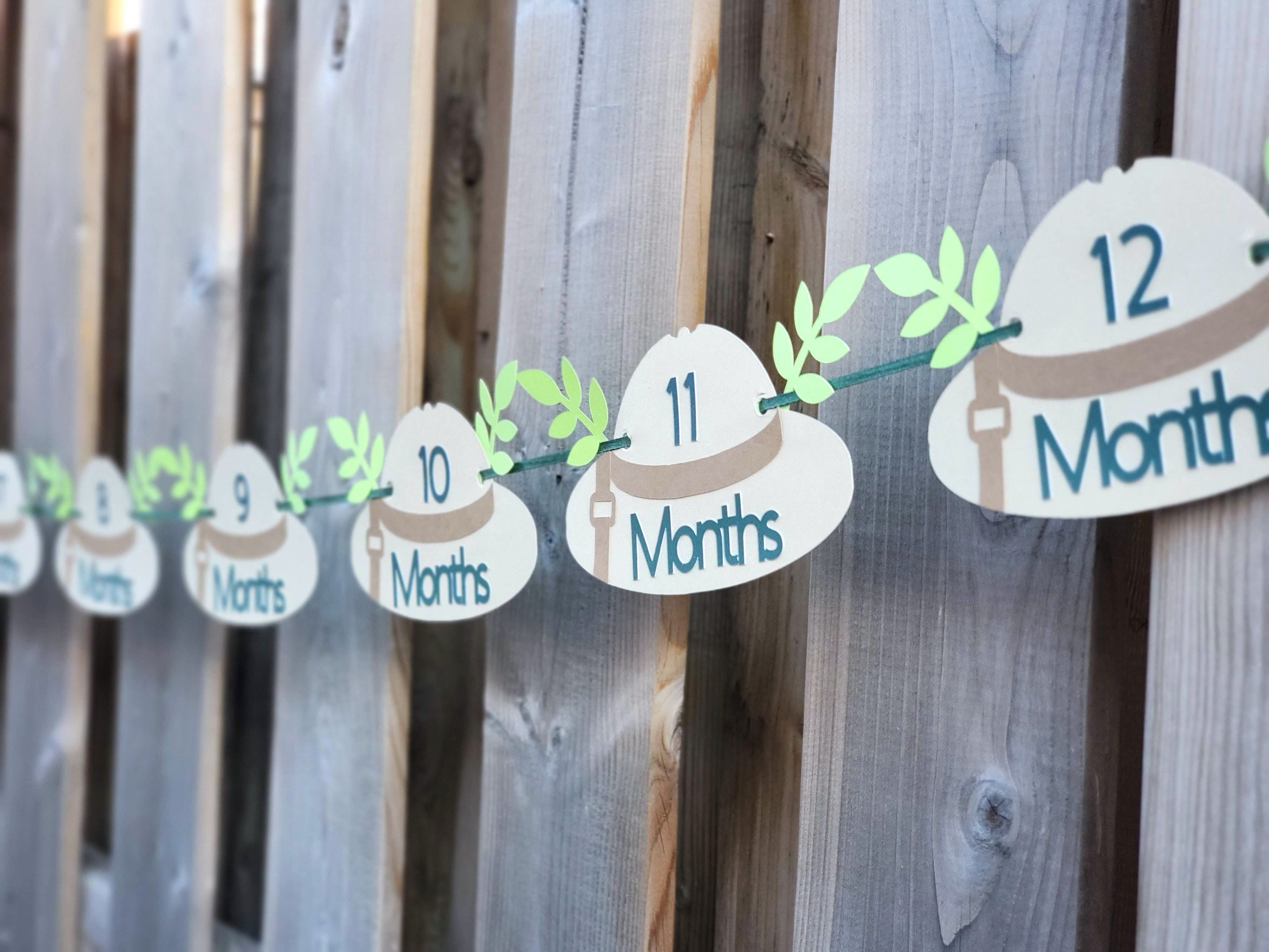 Jungle Safari 12 Months Photo Banner, Baby's First Year Safari Picture Banner, Wild One Photo Banner, Monthly Photo Garland for a Boy Girl