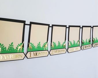 12 Months Milestone Banner for Safari Themed Party, Photo Garland, Jungle Wild One Dinosaur Decoration, Baby Shower Boy Girl Party!