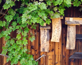 Bienenhotel - Insektenhotel aus naturbelassenem Holz. handgefertigt