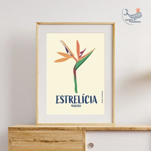 Estrelícia (Strelitzia) Ilustração Gráfica da Madeira Konsttryck Affisch Blomma Estrelicia Druck Strelitzia Blume Madeira Poster Portugal bild 1