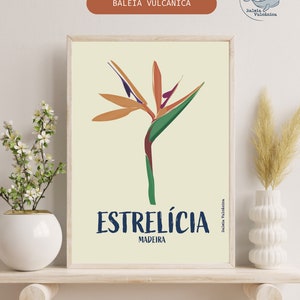 Estrelícia (Strelitzia) Ilustração Gráfica da Madeira Konsttryck Affisch Blomma Estrelicia Druck Strelitzia Blume Madeira Poster Portugal bild 8