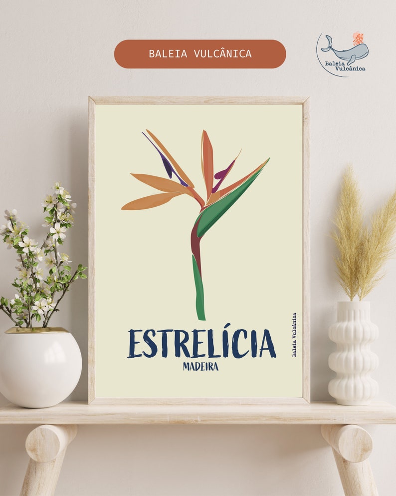 Estrelícia (Strelitzia) Ilustração Gráfica da Madeira Konsttryck Affisch Blomma Estrelicia Druck Strelitzia Blume Madeira Poster Portugal bild 8