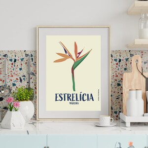 Estrelícia (Strelitzia) Ilustração Gráfica da Madeira Konsttryck Affisch Blomma Estrelicia Druck Strelitzia Blume Madeira Poster Portugal bild 3