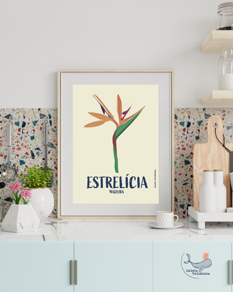 Estrelícia (Strelitzia) Ilustração Gráfica da Madeira Konsttryck Affisch Blomma Estrelicia Druck Strelitzia Blume Madeira Poster Portugal bild 3