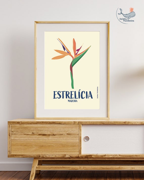 Estrelícia (Strelitzia) Ilustração Gráfica da Madeira Art Print  Affiche Fleur Estrelicia Druck Strelitzia Blume Madeira Poster Portugal