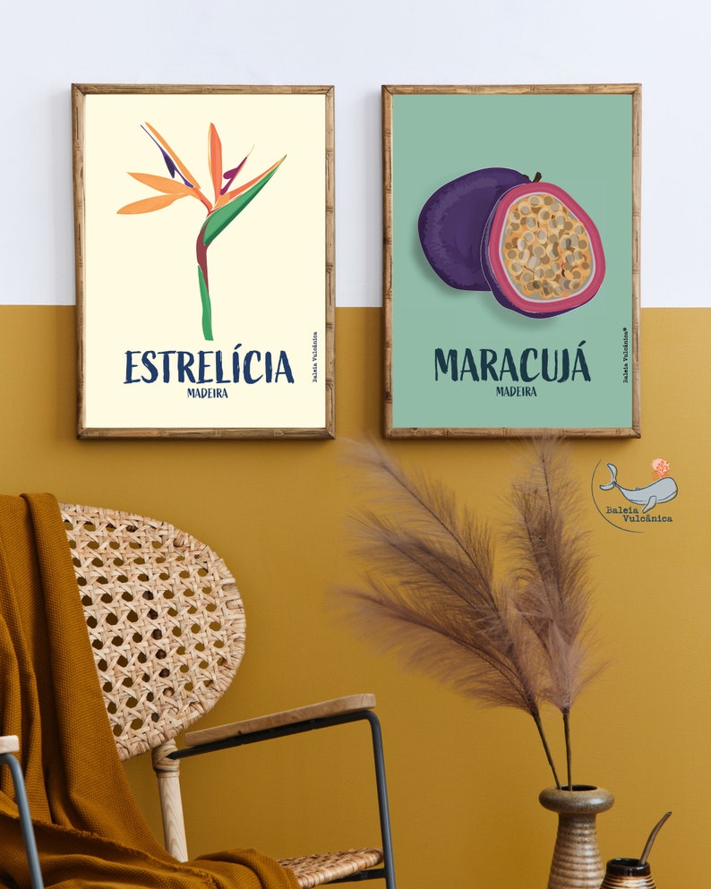 Estrelícia (Strelitzia) Ilustração Gráfica da Madeira Konsttryck Affisch Blomma Estrelicia Druck Strelitzia Blume Madeira Poster Portugal bild 7