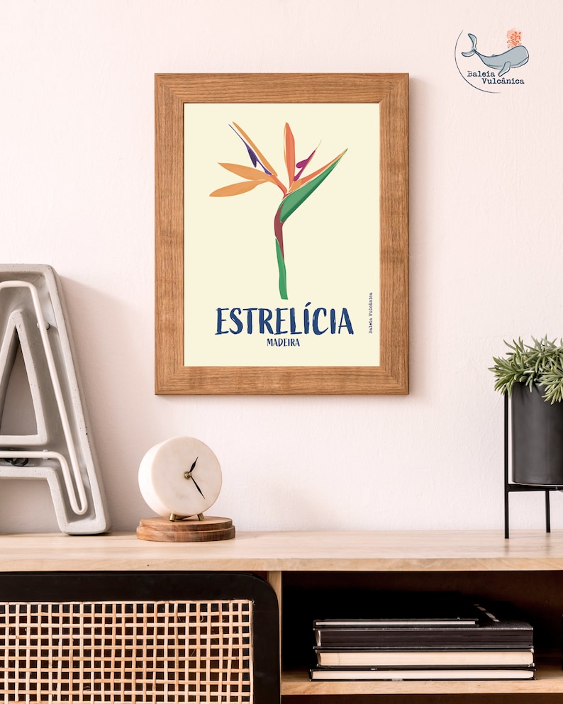 Estrelícia (Strelitzia) Ilustração Gráfica da Madeira Konsttryck Affisch Blomma Estrelicia Druck Strelitzia Blume Madeira Poster Portugal bild 6