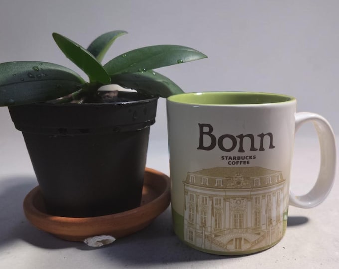 Starbucks Bonn 16oz Ceramic Mug 2017