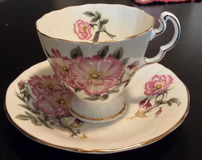 Adderly Fine Bone China Teacup & Saucer Set