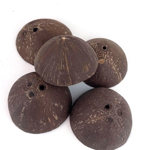 Puede incluir: Cinco mitades de cáscaras de coco de color marrón oscuro con una superficie natural y texturizada. Cada cáscara tiene un agujero cerca del centro. Las cáscaras están dispuestas sobre un fondo blanco, mostrando su forma y color orgánicos.