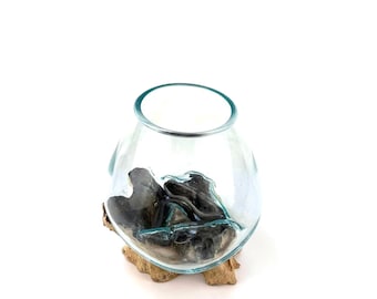 Large Glass and Teak Root Vases | Handmade Molten Glass Art Decor | Unique Eco Friendly Home Gift table garden decoration Recycled